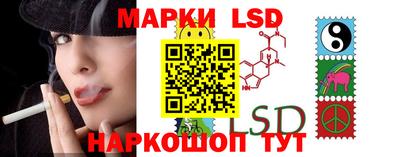 индика Моздок