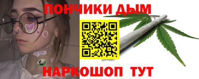 индика Моздок