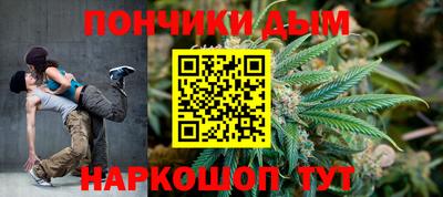 индика Моздок