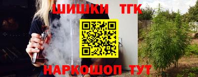 индика Моздок