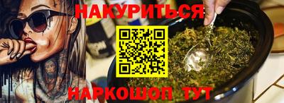 индика Моздок