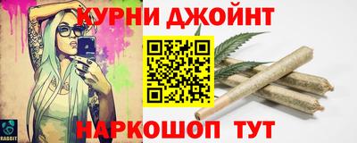 индика Моздок