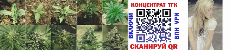закладка  Электросталь  mega как зайти  Дистиллят ТГК Wax 