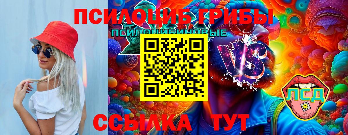 Электросталь  Псилоцибиновые грибы GOLDEN TEACHER  Вход с VPN 